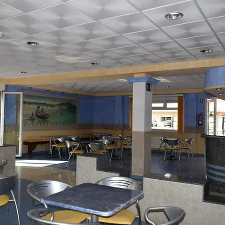 Vida Ostra Marina סנשנשו