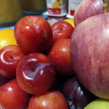 Vida Ostra Marina 2*