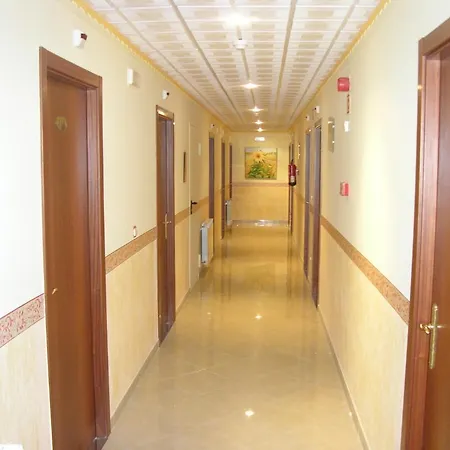 Vida Ostra Marina