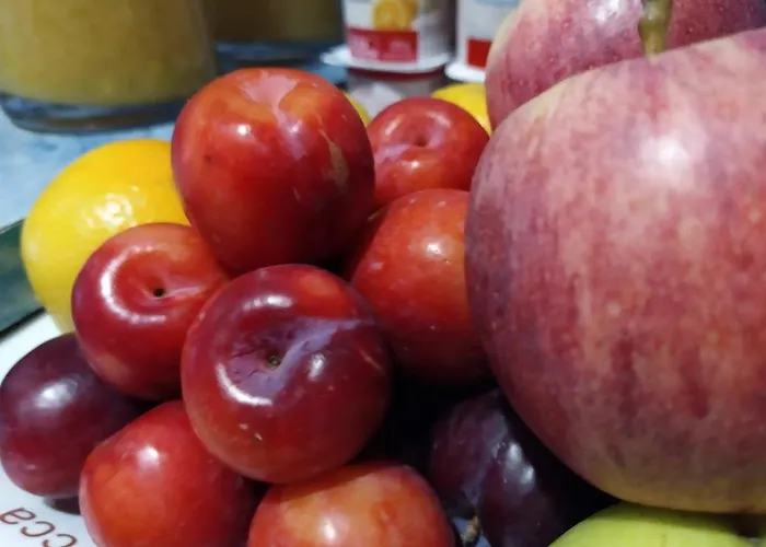 Vida Ostra Marina 2*