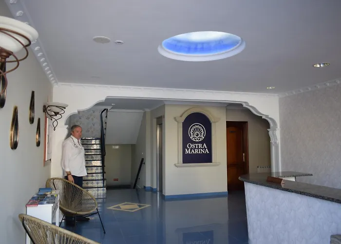 Vida Ostra Marina Sanxenxo