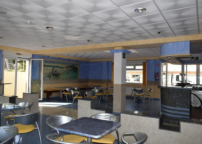 Vida Ostra Marina سانكسينكسو