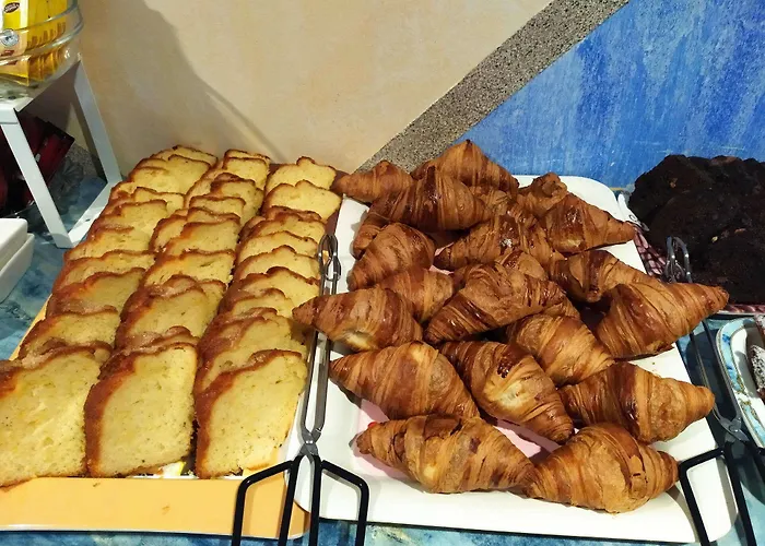 Vida Ostra Marina فندق