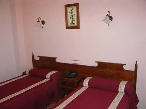 Vida Ostra Marina سانكسينكسو